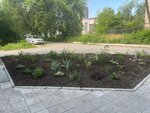 Nns (Gagarina Boulevard, 58В), management company
