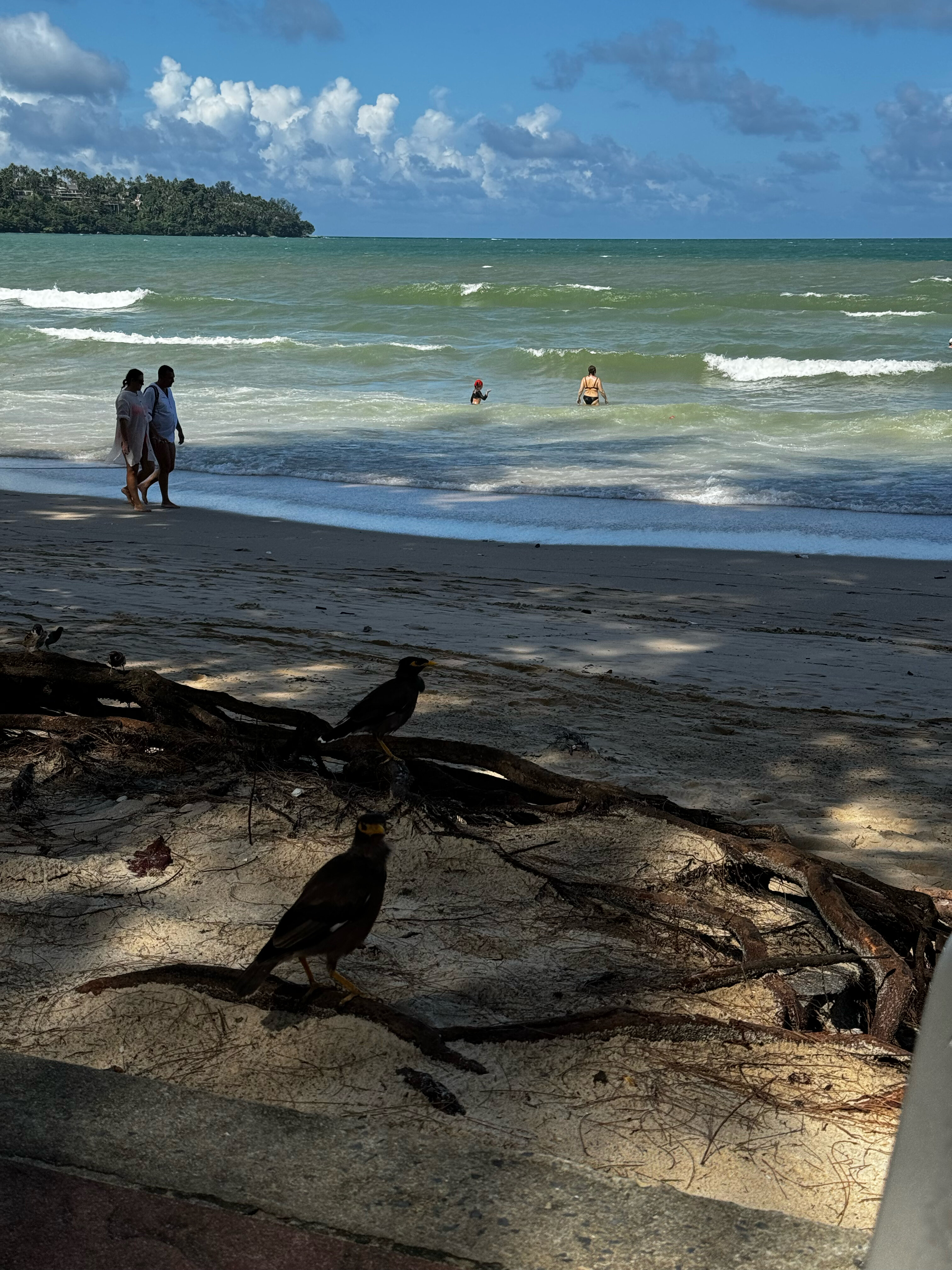 Фото Sunwing Bangtao Beach