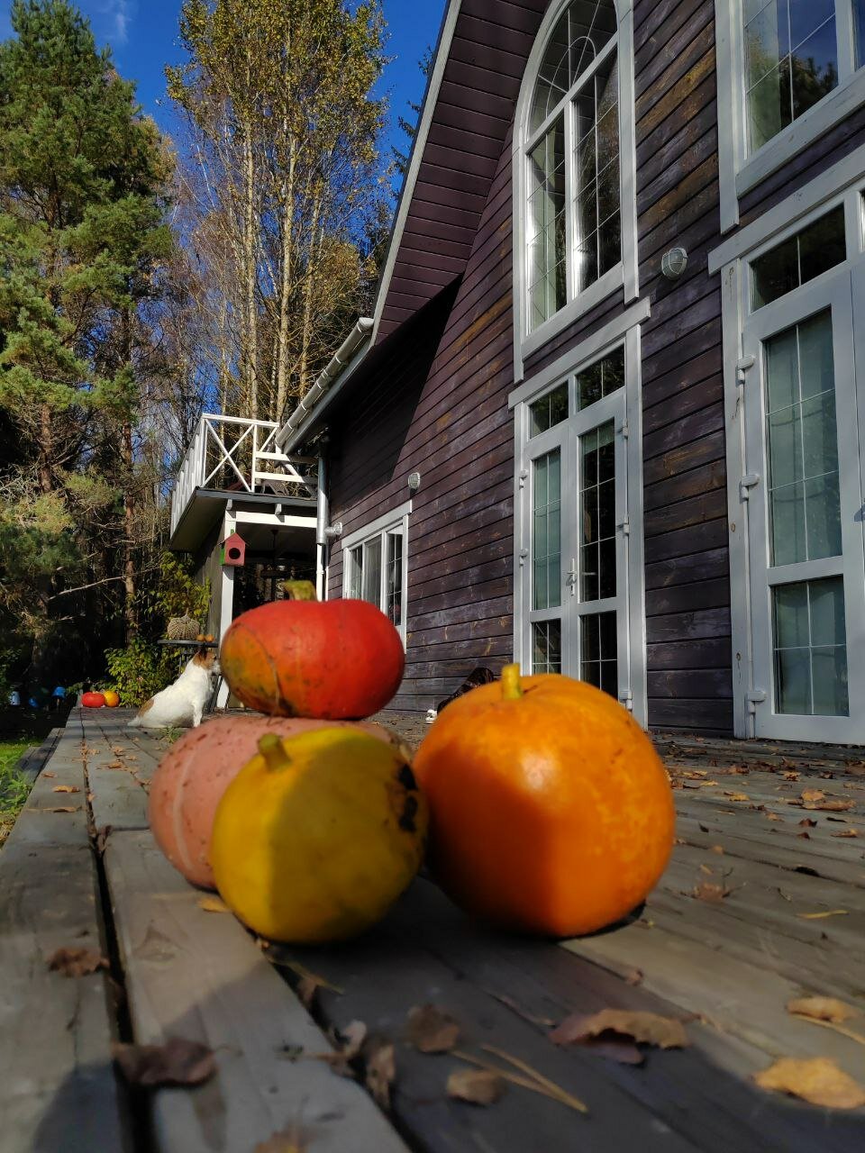 Фото Хутор Малиновка