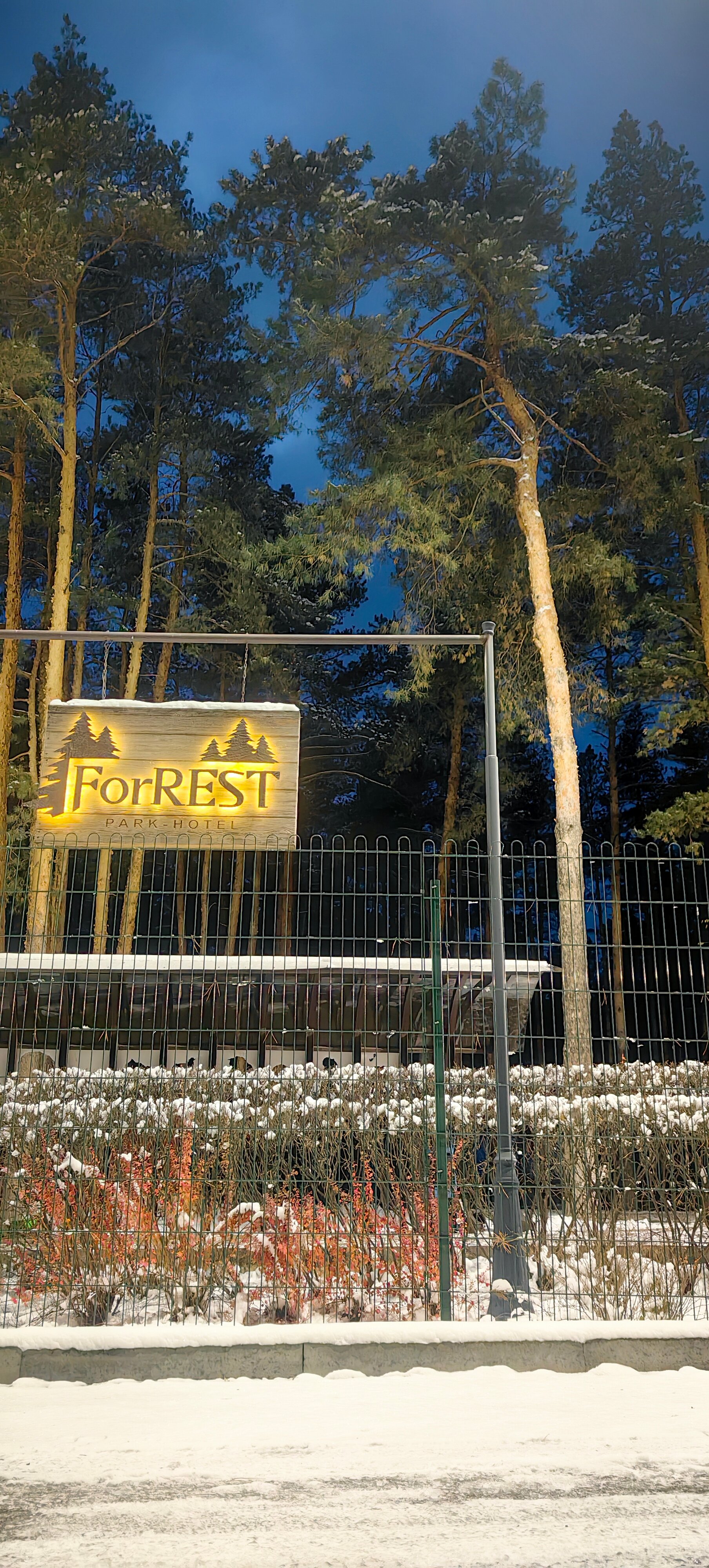 Фото ФорРест