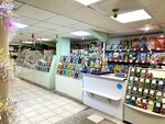 Гулливер (Chubarova Street, 16к17) ، متجر الهدايا والتذكارات
