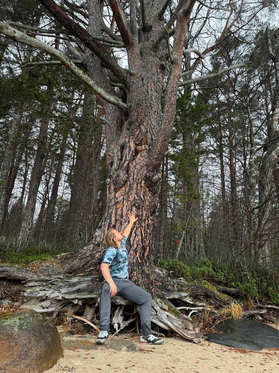 Фото Вилла Ялгуба