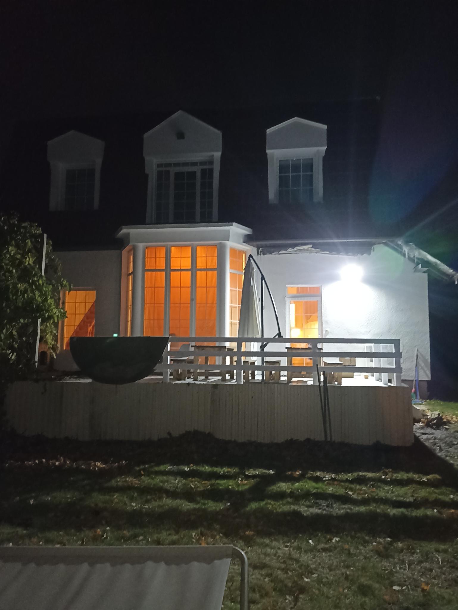 Фото Королевская звезда