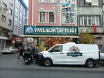My Cheese House (Istanbul, Fatih, Seyyid Omer Neighborhood, Altimermer Street, 18A), quesería