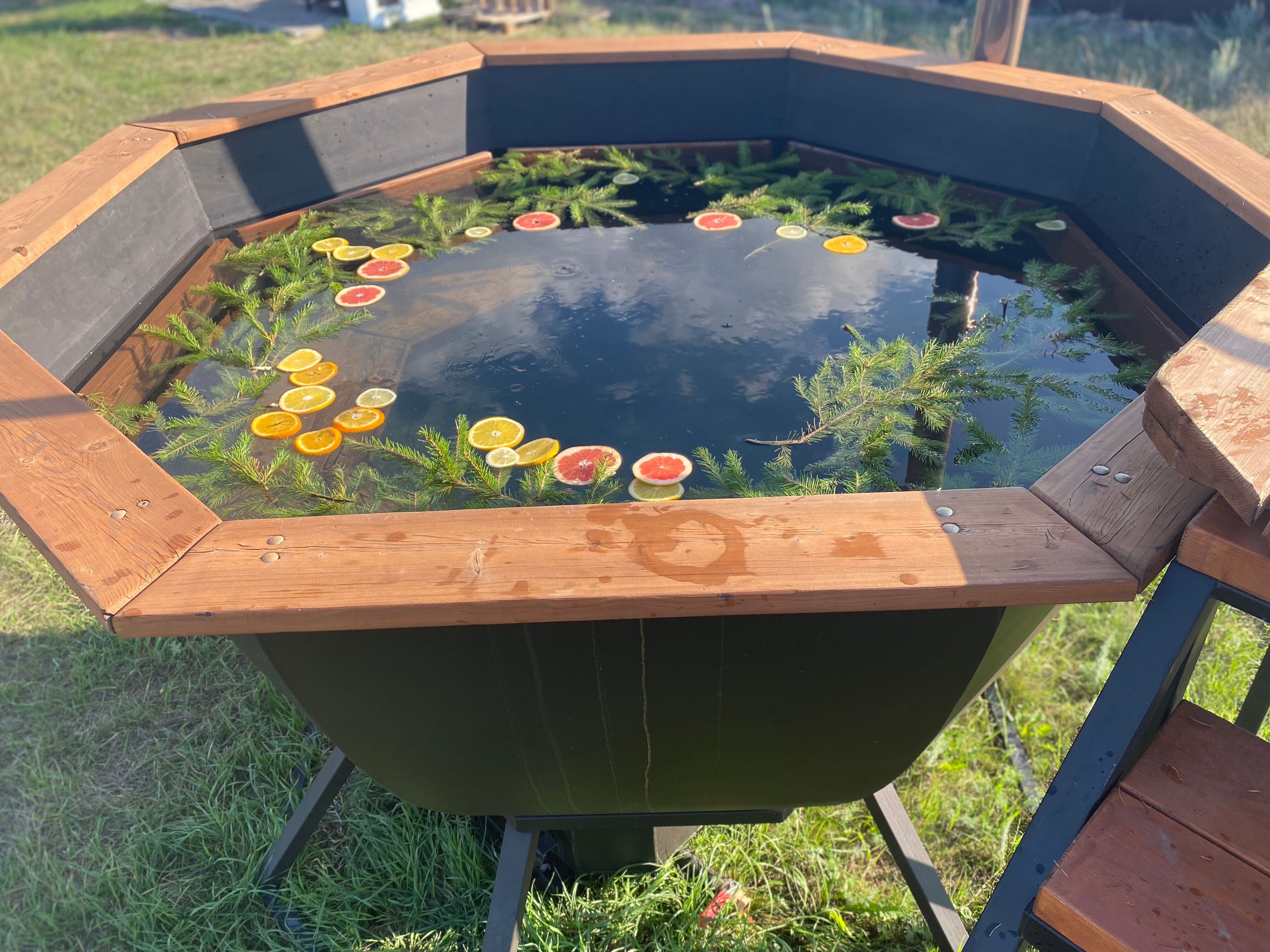 Фото Фазенда