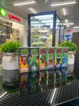 Smoking Shop (Internatsionalnaya ulitsa, 12) ، متجر مستلزمات التدخين