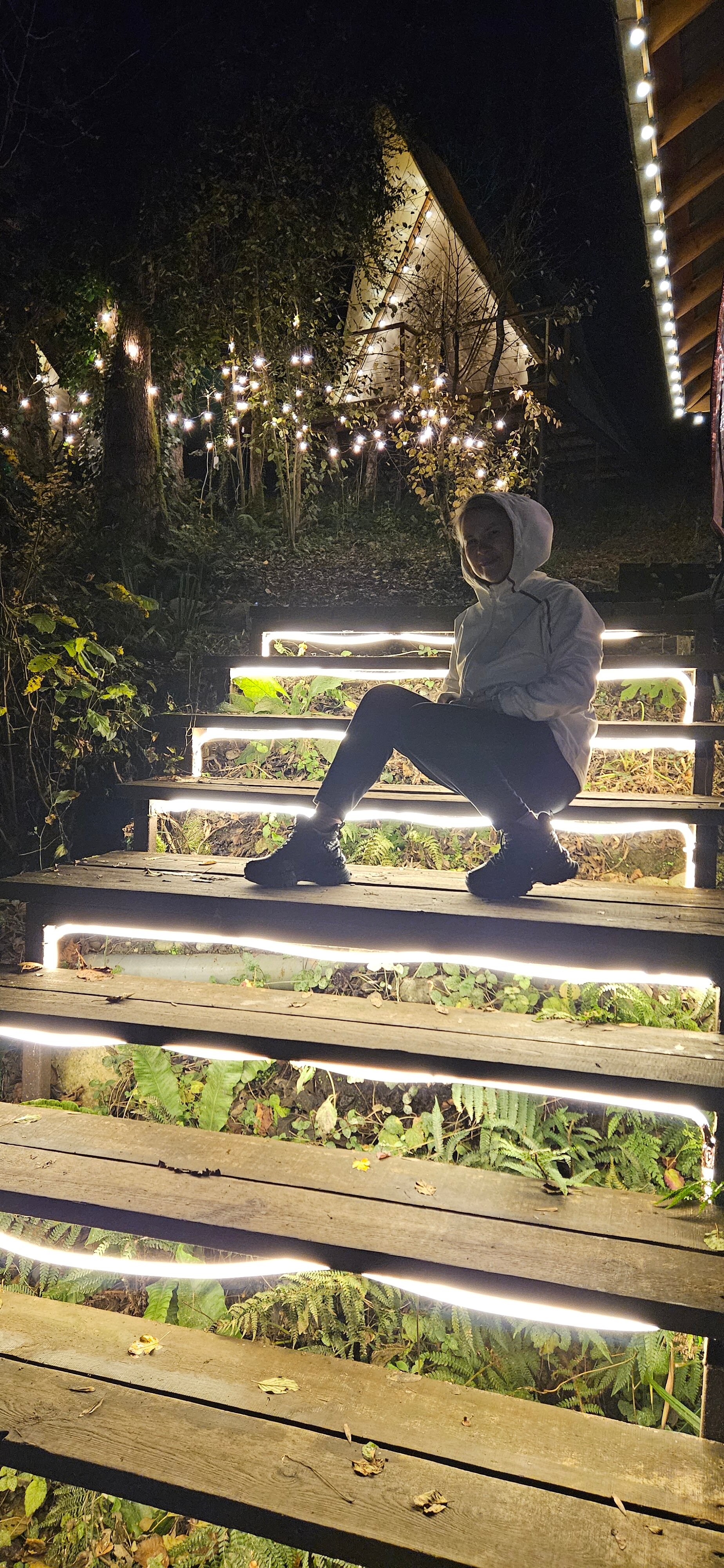 Фото Южный Вайб Древо