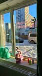 Flamant (Shuvalova Street, 22к3), club de fitness