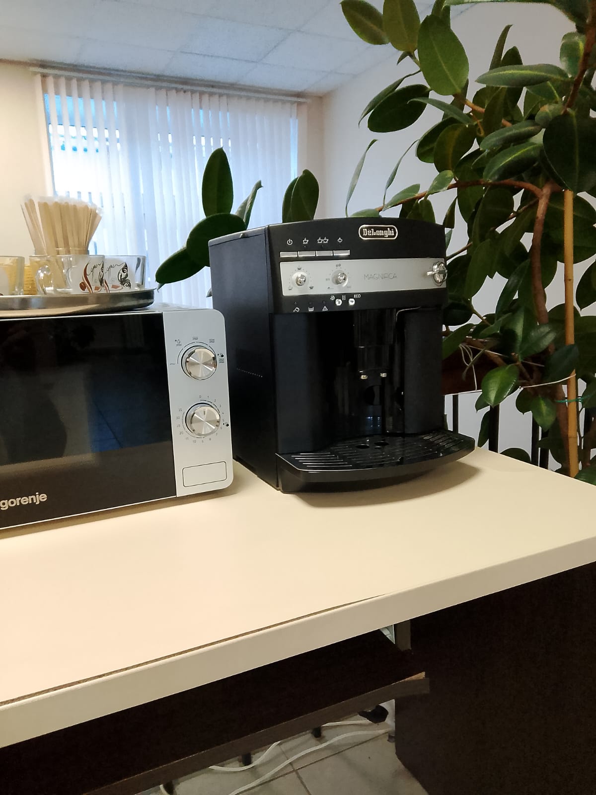 Фото Алтынай