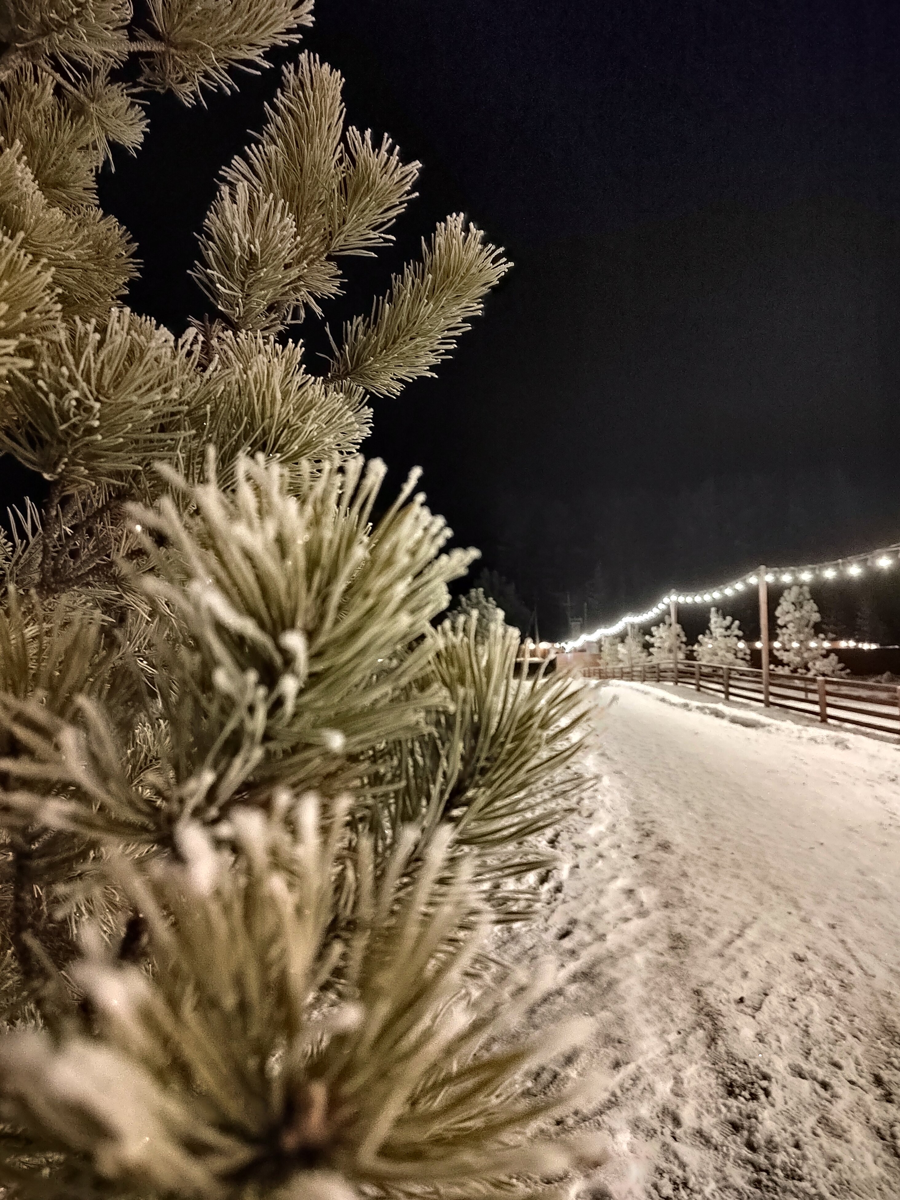 Фото Scandi Village