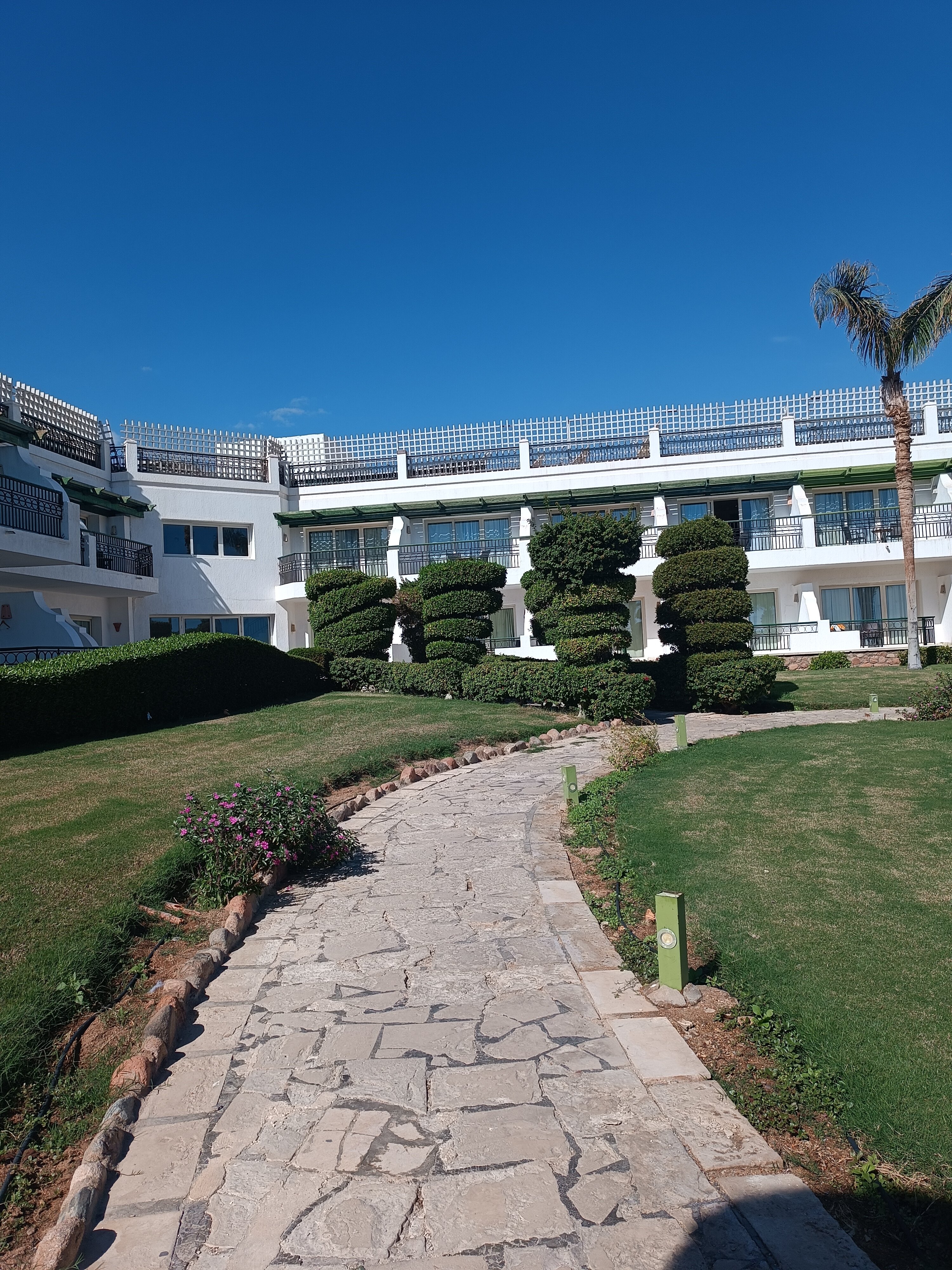 Фото Safir Sharm Waterfalls