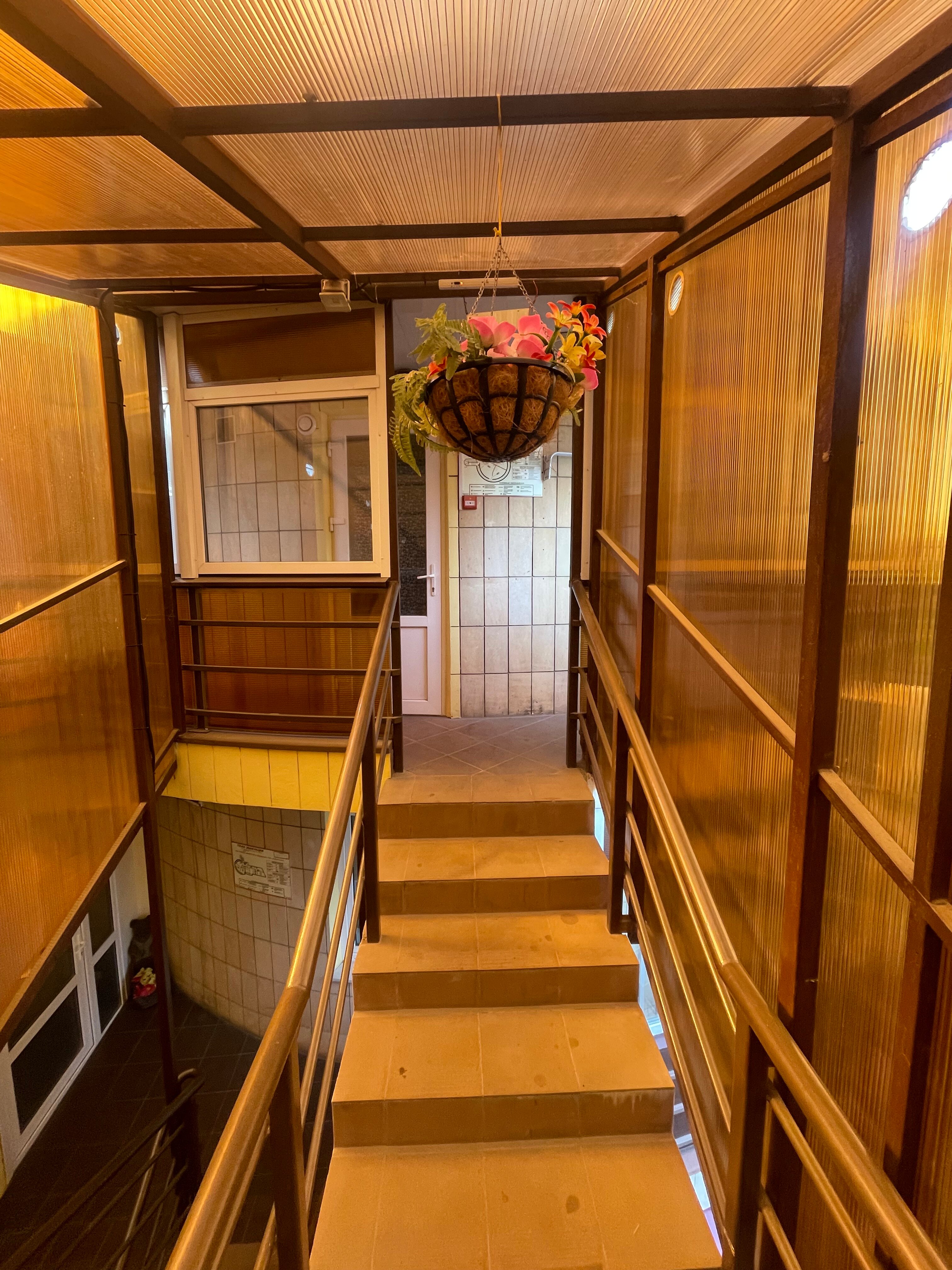 Фото Ракушка