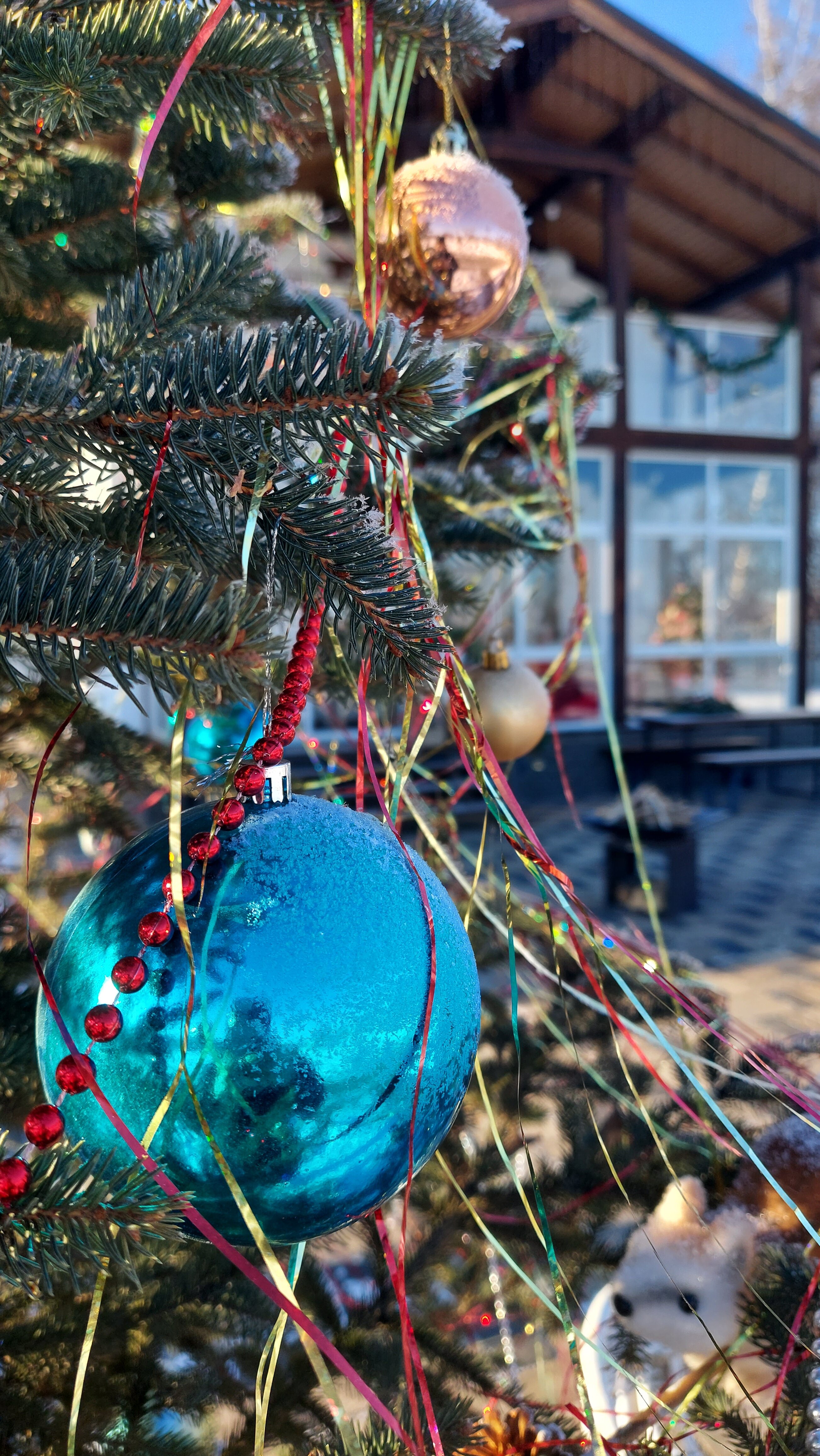 Фото Бабушкина дача