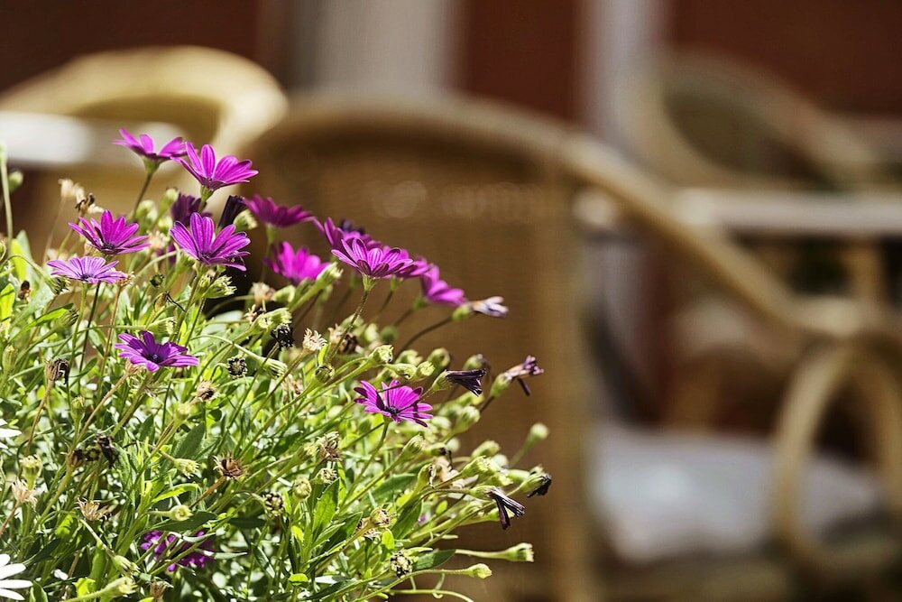 Фото Hotel Madreselva