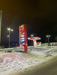 Gas station (Tambov Region, Michurinsk, Kirsanovskaya ulitsa), gas station