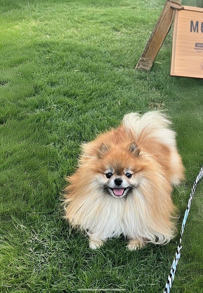 Veterinary clinic Pati-Pet Veteriner Kliniği & Pet Shop, Batman, photo