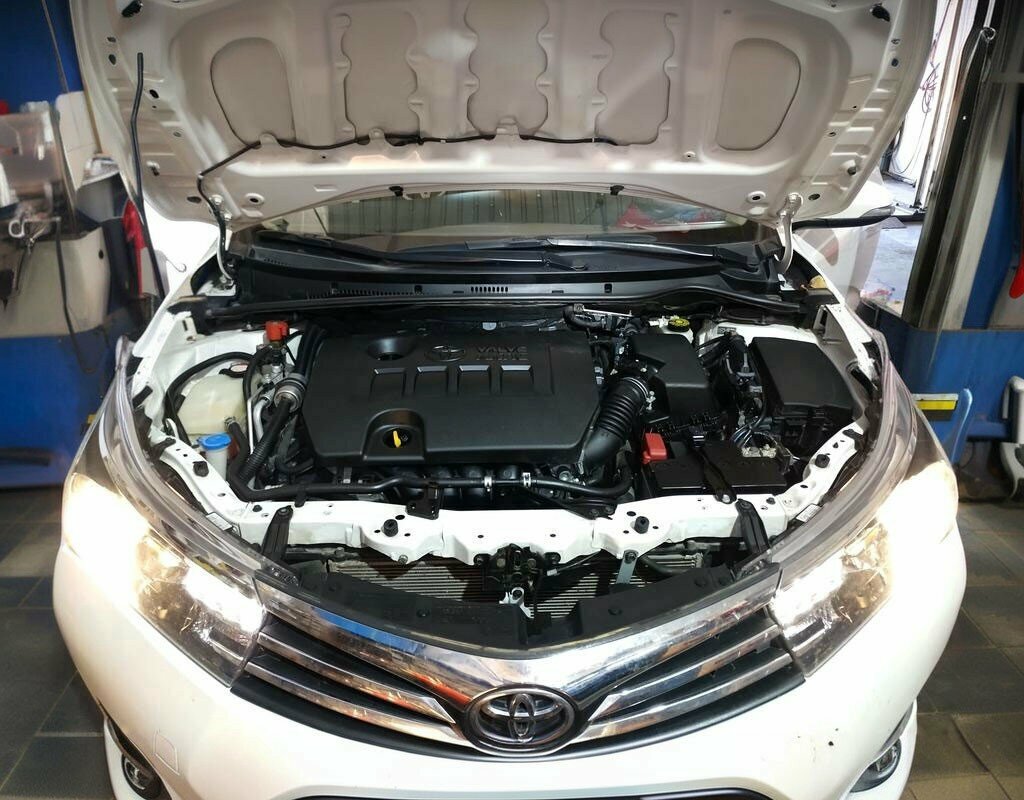 Car service, auto repair Bergamali Auto Repair and Maintenance Service, Aliaga, photo