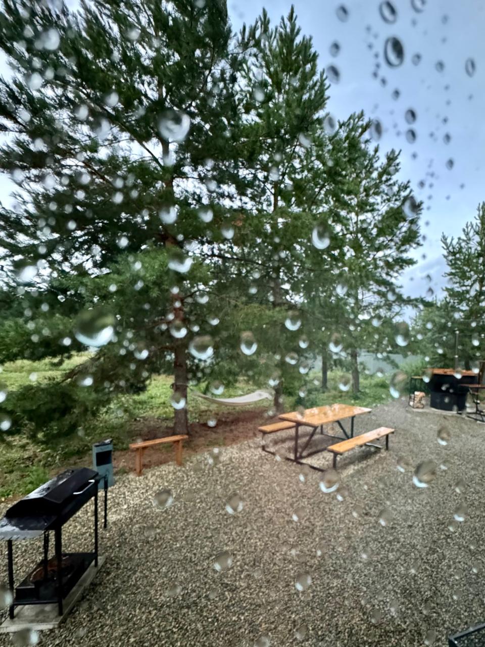 Фото Лесная Хижина