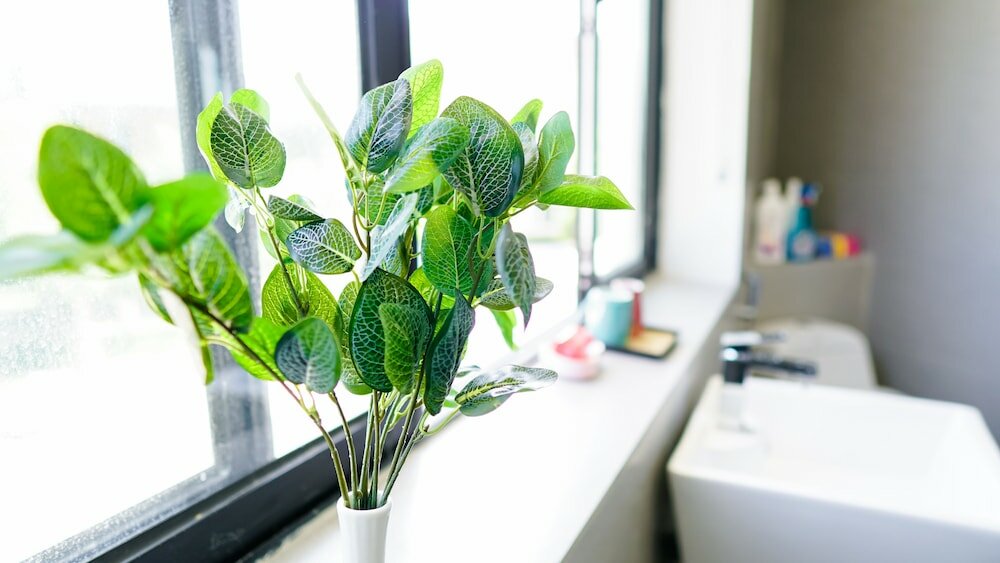 Фото Soleil House Hostel