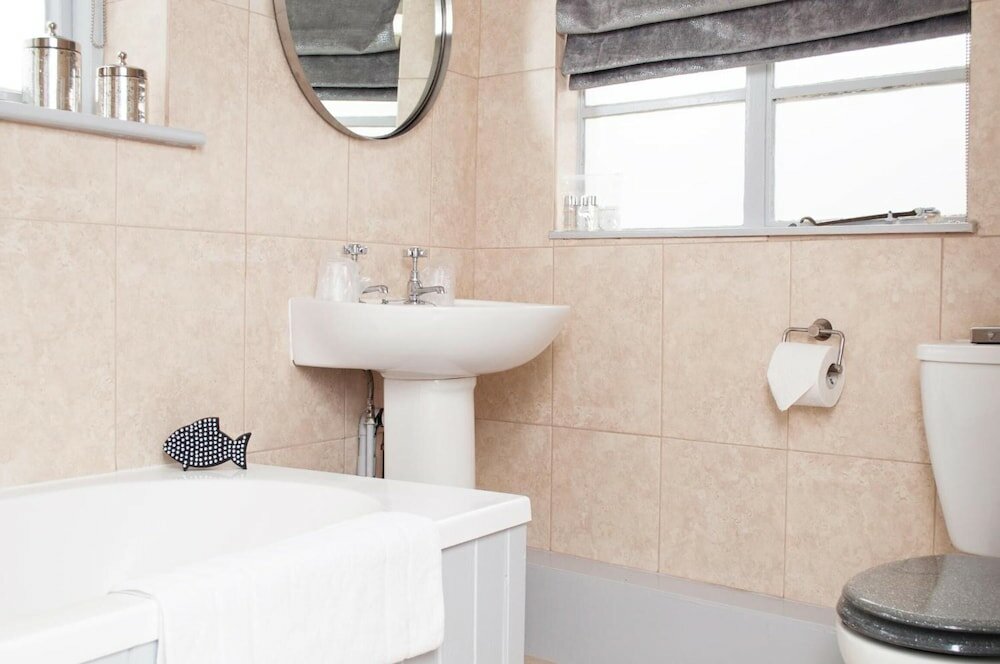 Фото The Loopy Shrew