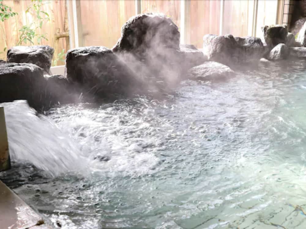 Фото Gujyo Vacance Mura Hotel