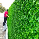 Ozgurler Cit Sistemleri (Sakarya, Serdivan, Adnan Menderes Cad., 33), fences and barriers