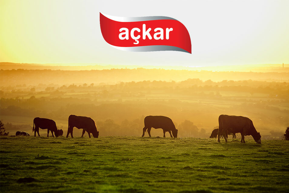 Education infrastructure Başkent University Institute of Science, Ankara, photo