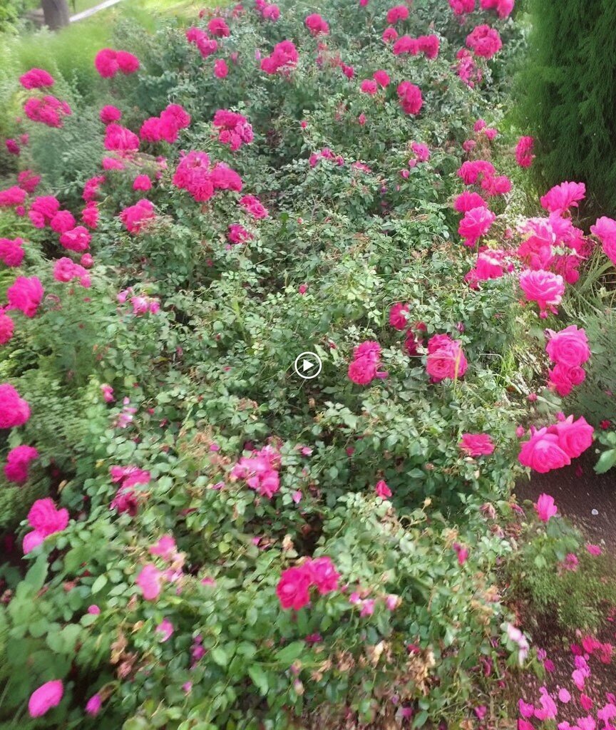 Sunday school Hayirlar Girls' Quran Course, Isparta, photo