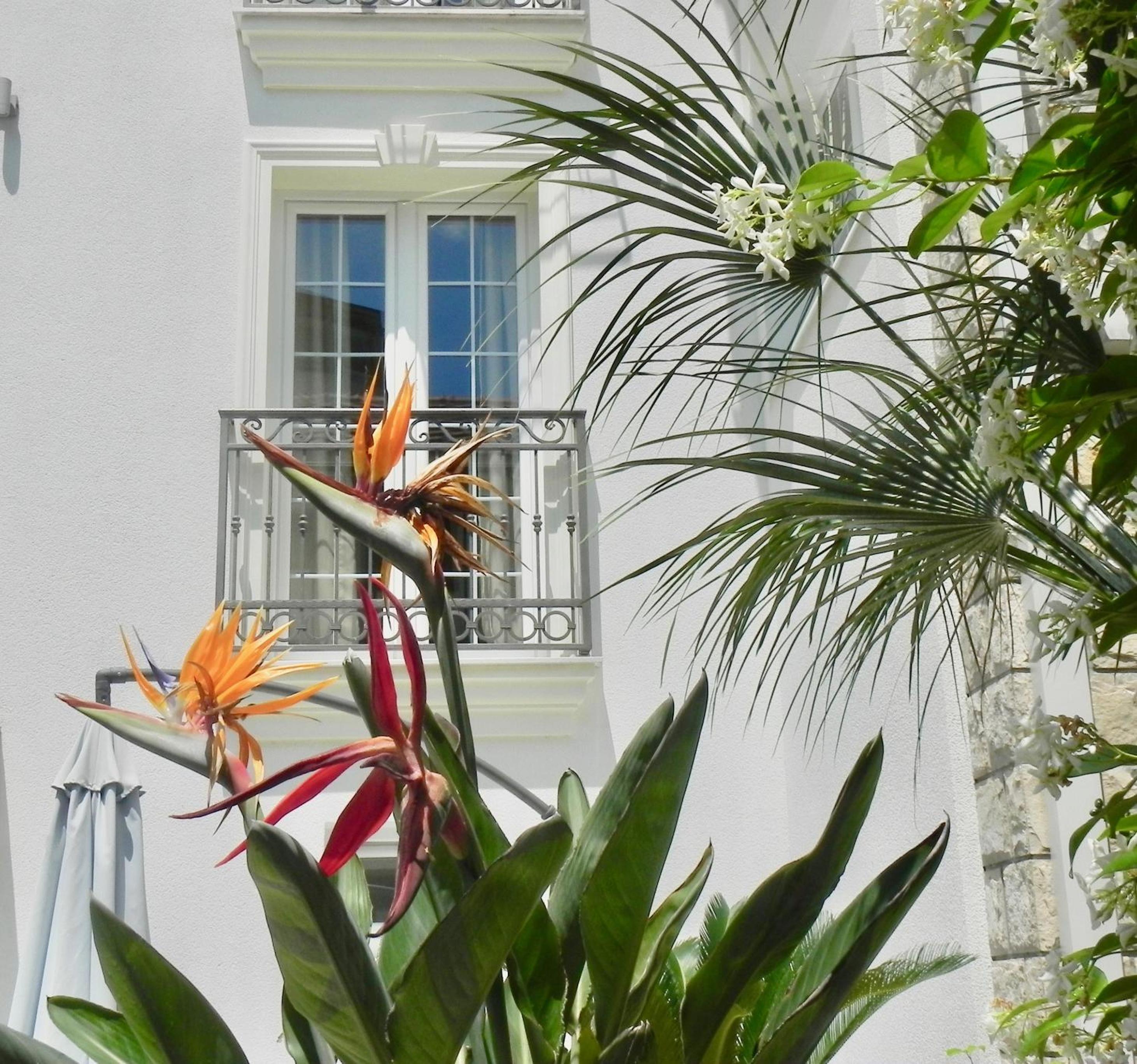 Фото Captains villa