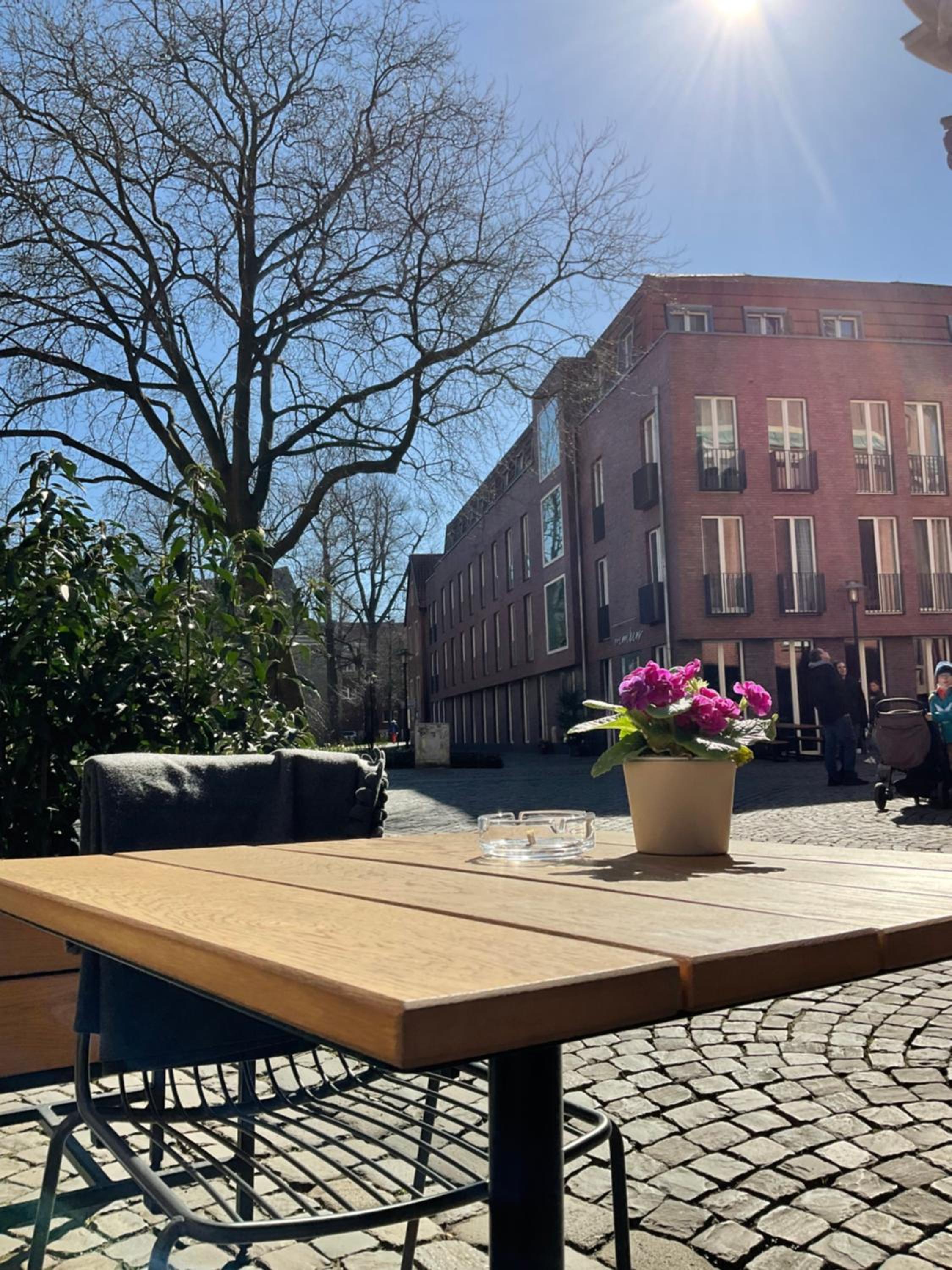 Фото 196539773402