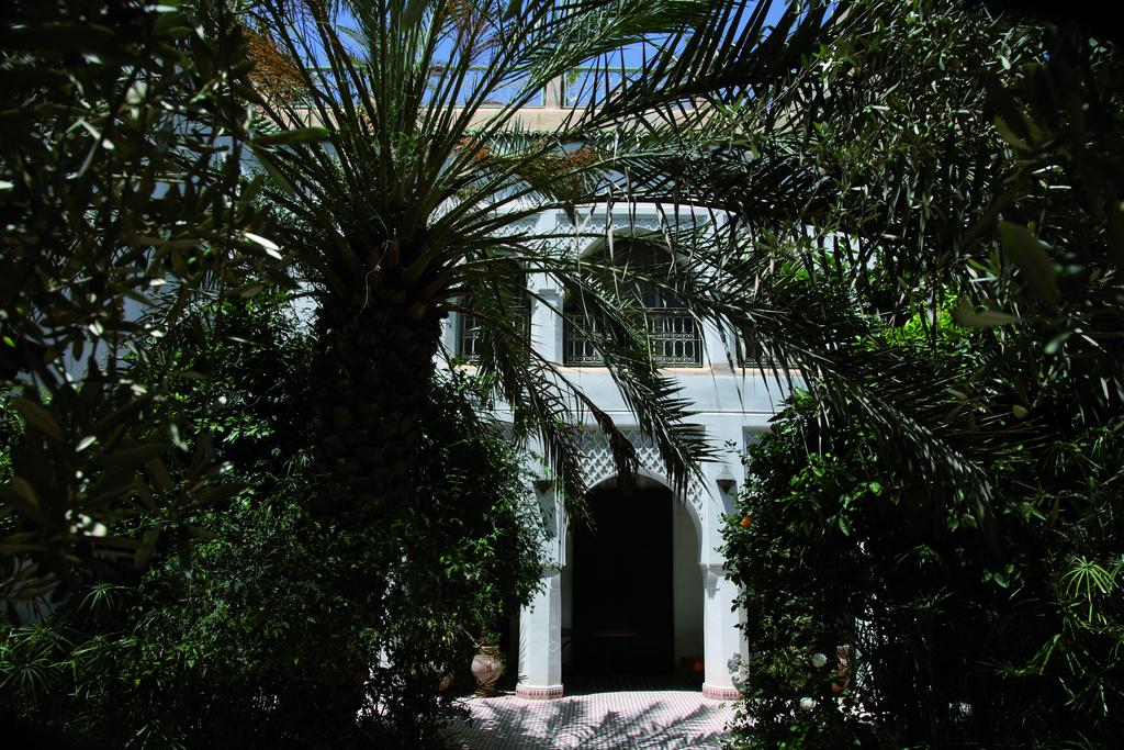 Фото Riad Ifoulki