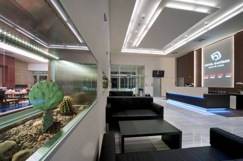 Фото Hotel Davidek