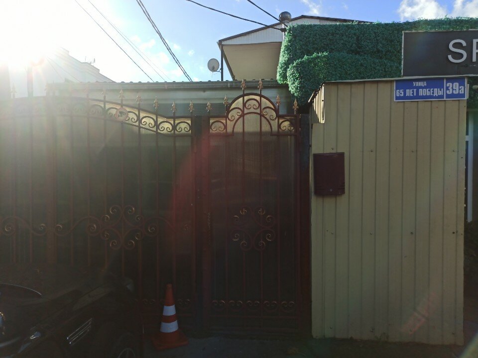 Фото Кипарис