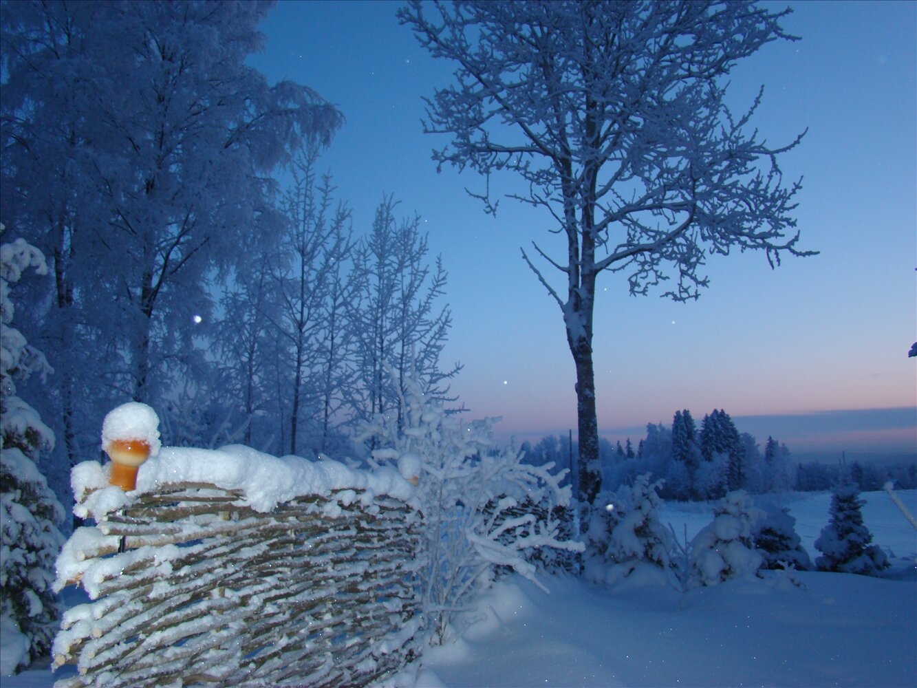 Фото Коттедж Рябиновка