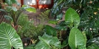 Гостиница Breena BnB Guest House в Эденвале
