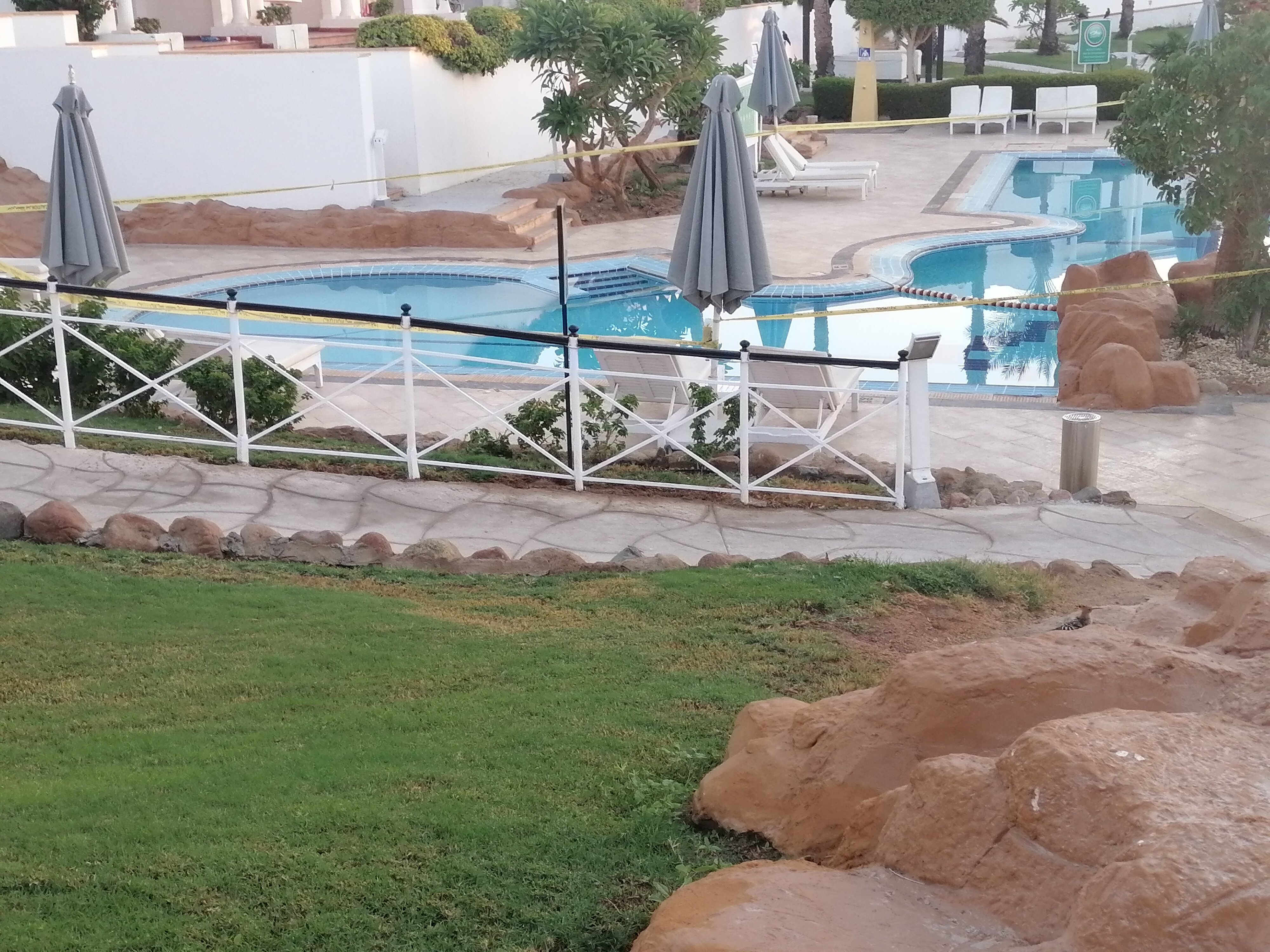 Фото Jaz Sharm Dreams