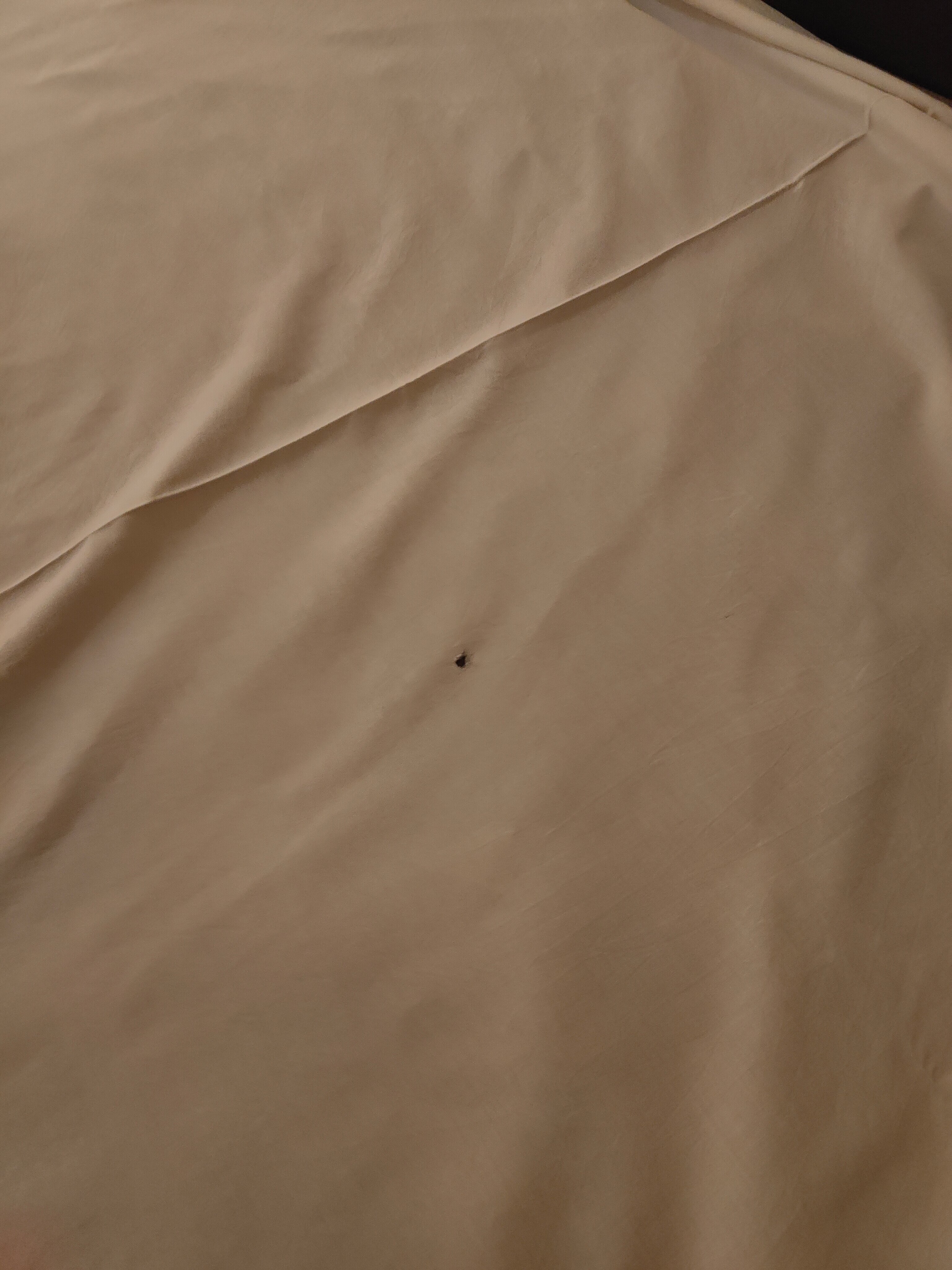 Фото Отель Мандарин