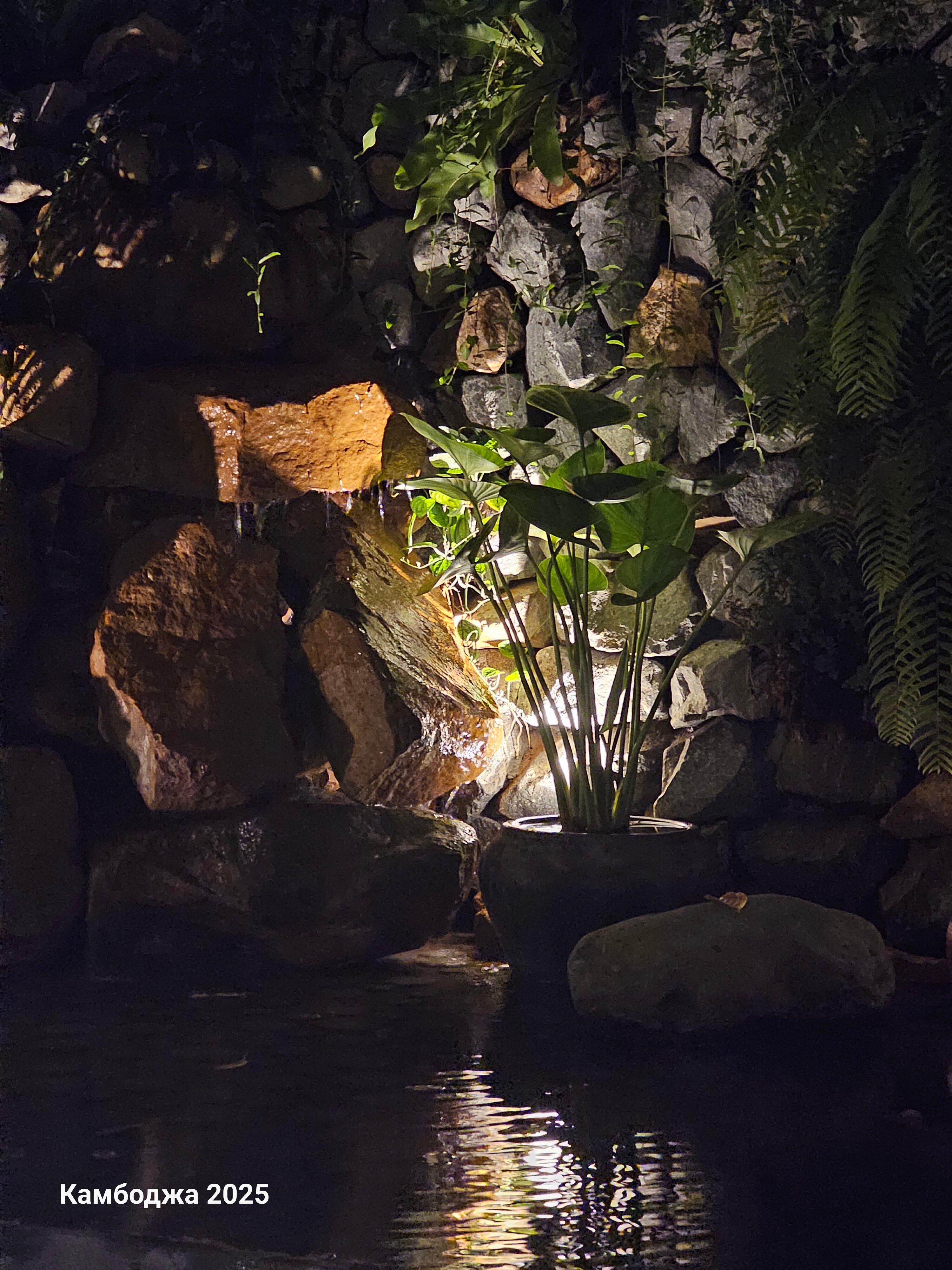 Фото Lynnaya Urban River Resort