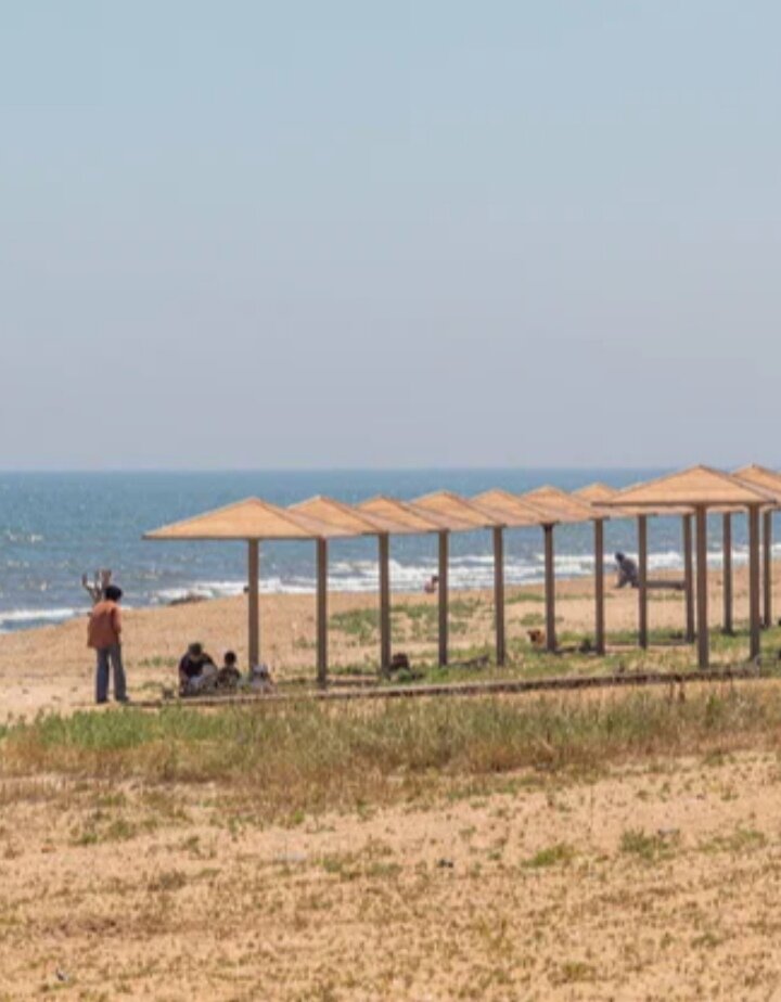 Фото 4 сезона