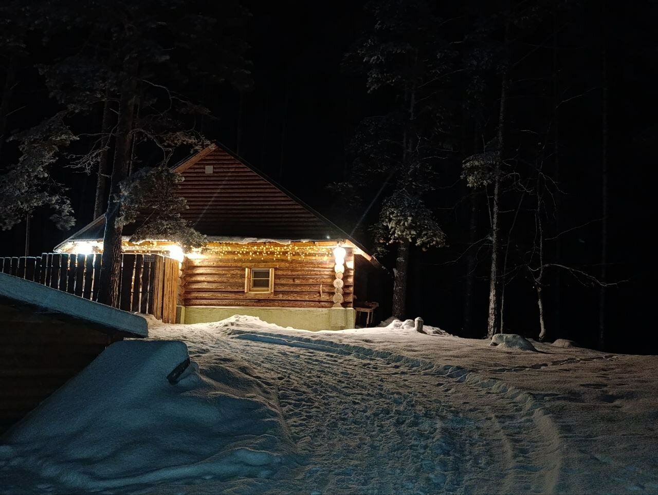 Фото Лесная дача