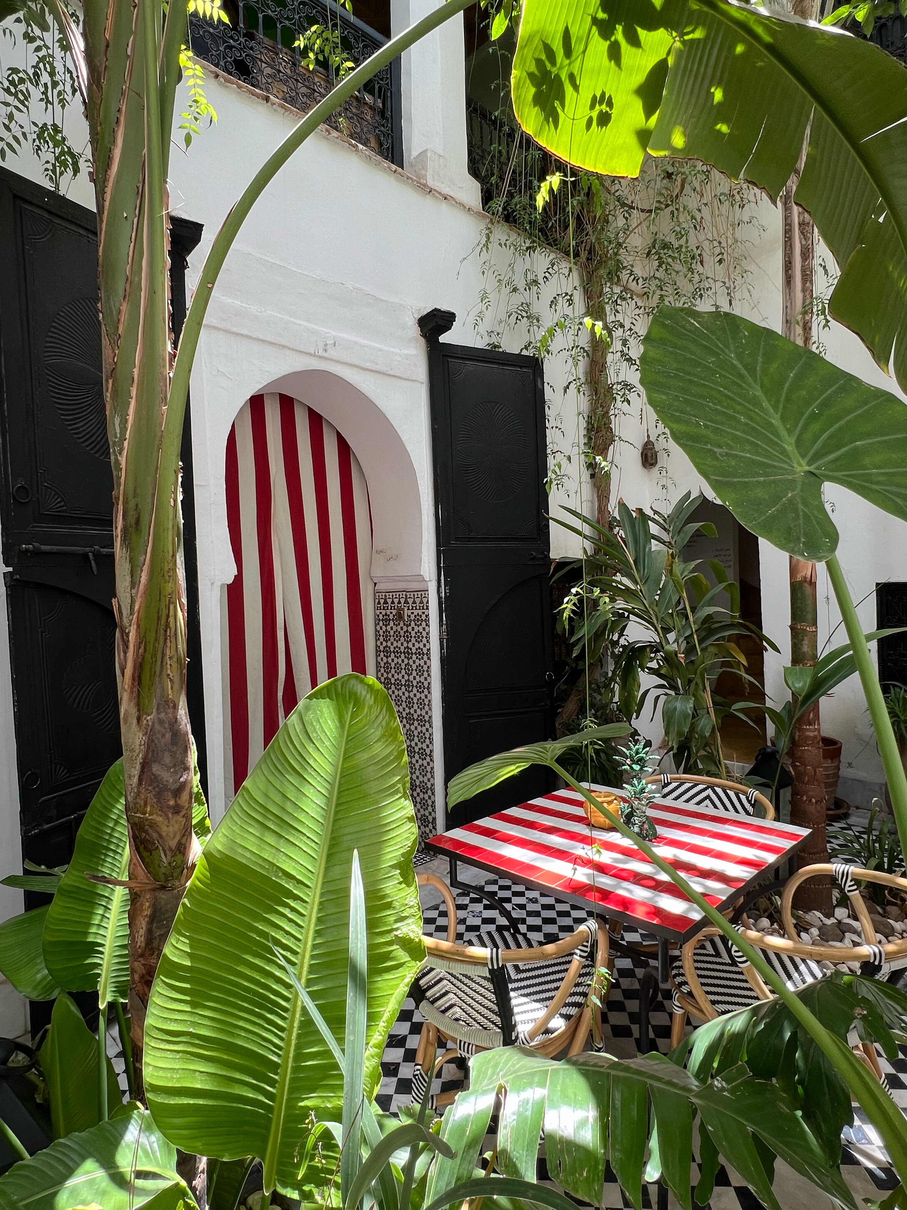 Фото Riad Tibibt