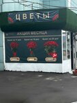 Велес (Pushkinskaya Street, 2с3), artificial plants and flowers