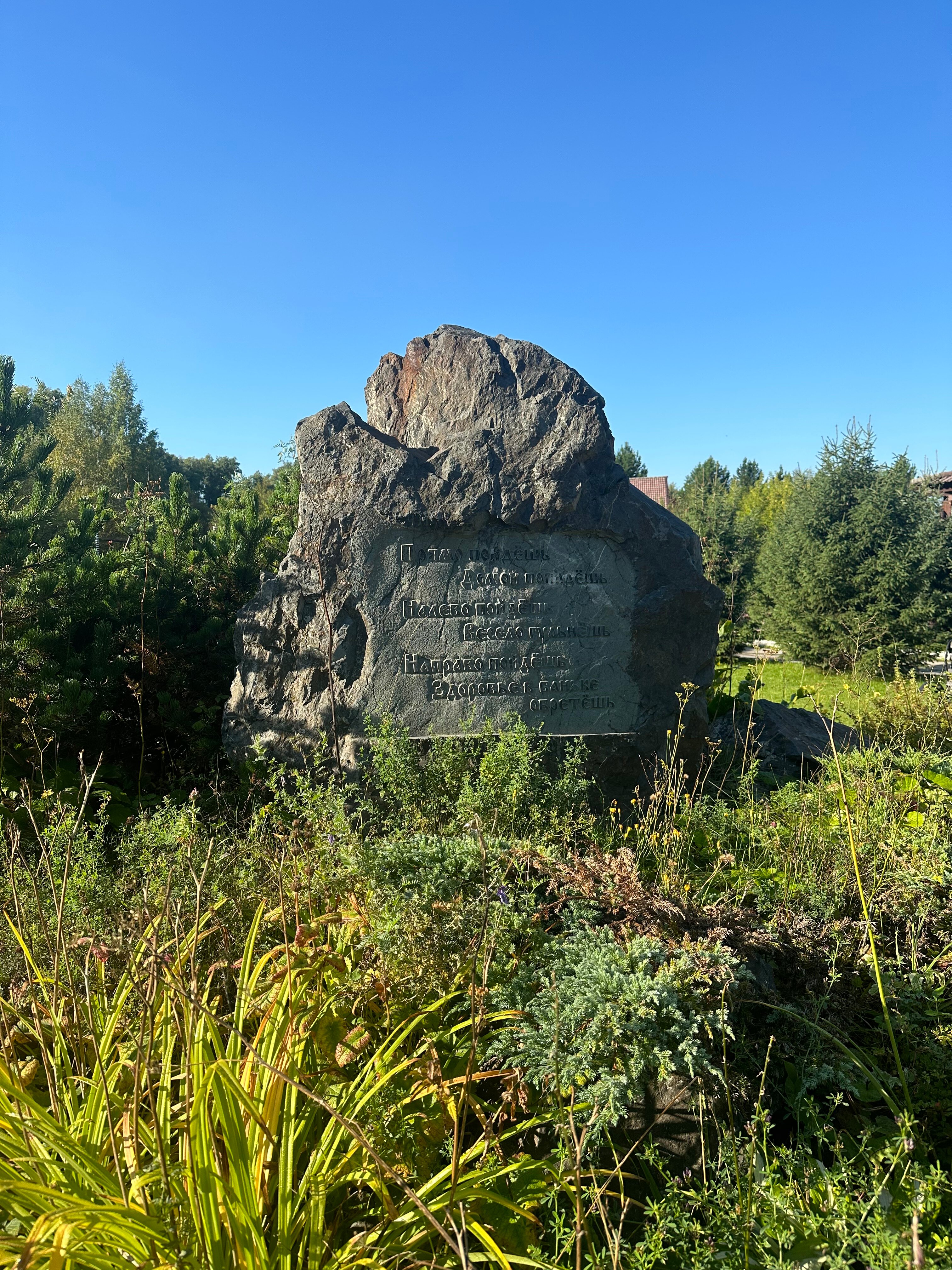 Фото Парк-отель Шишка