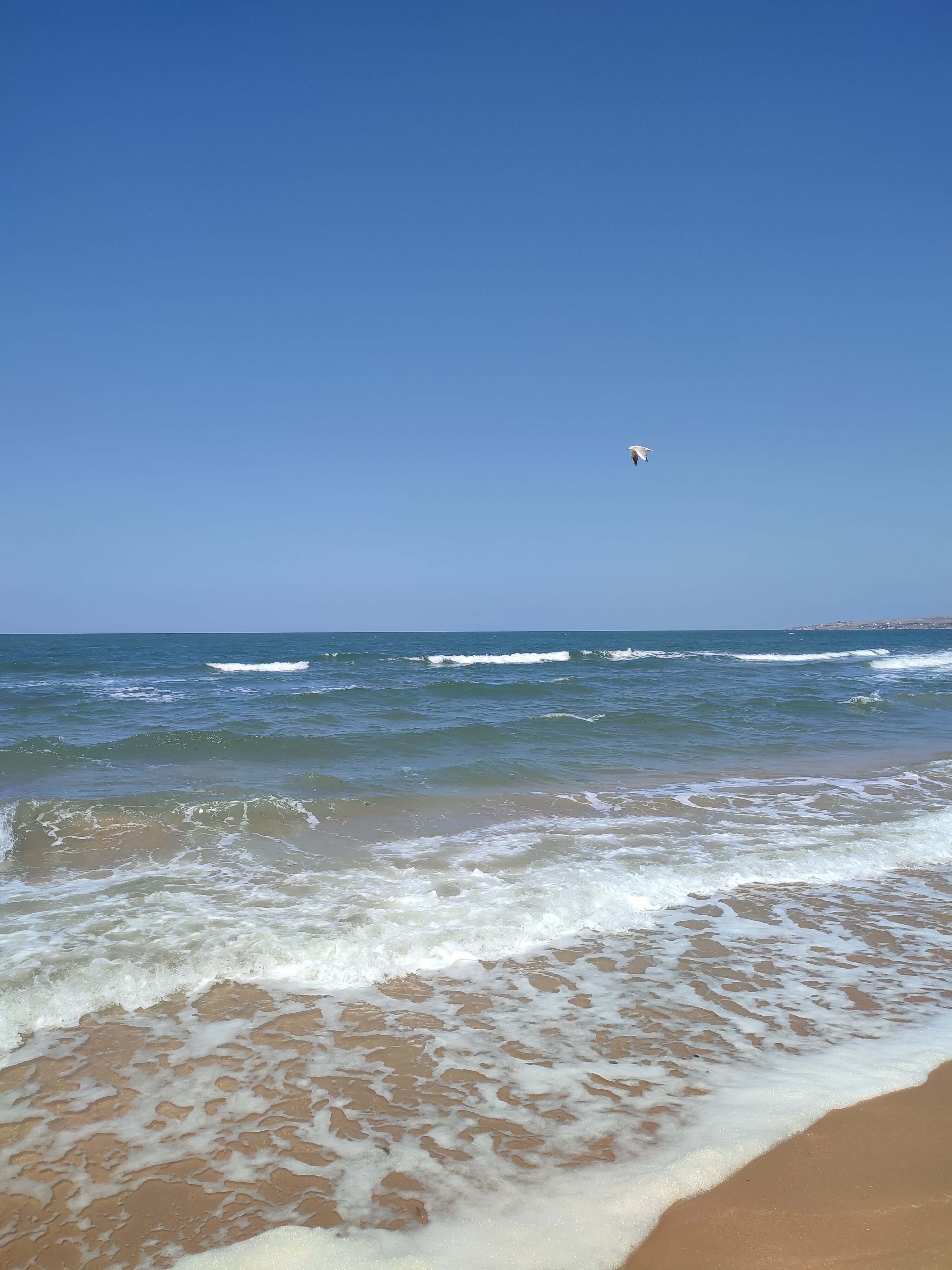 Фото Алмарис