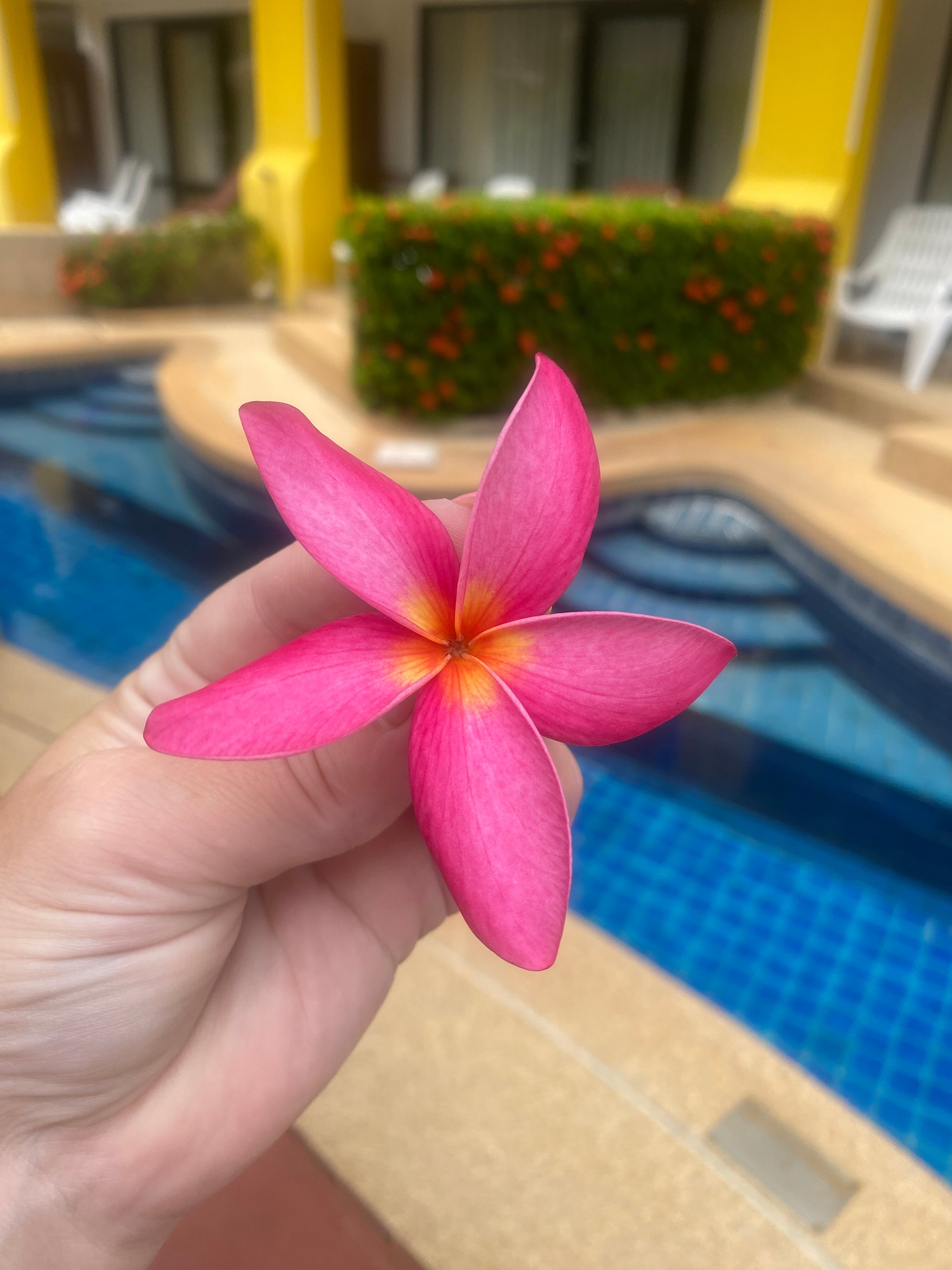 Фото Woraburi Phuket Resort and Spa