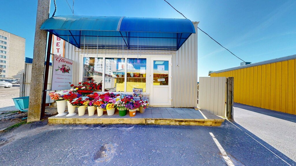 Flower shop Тюльпан, Rogachev, photo