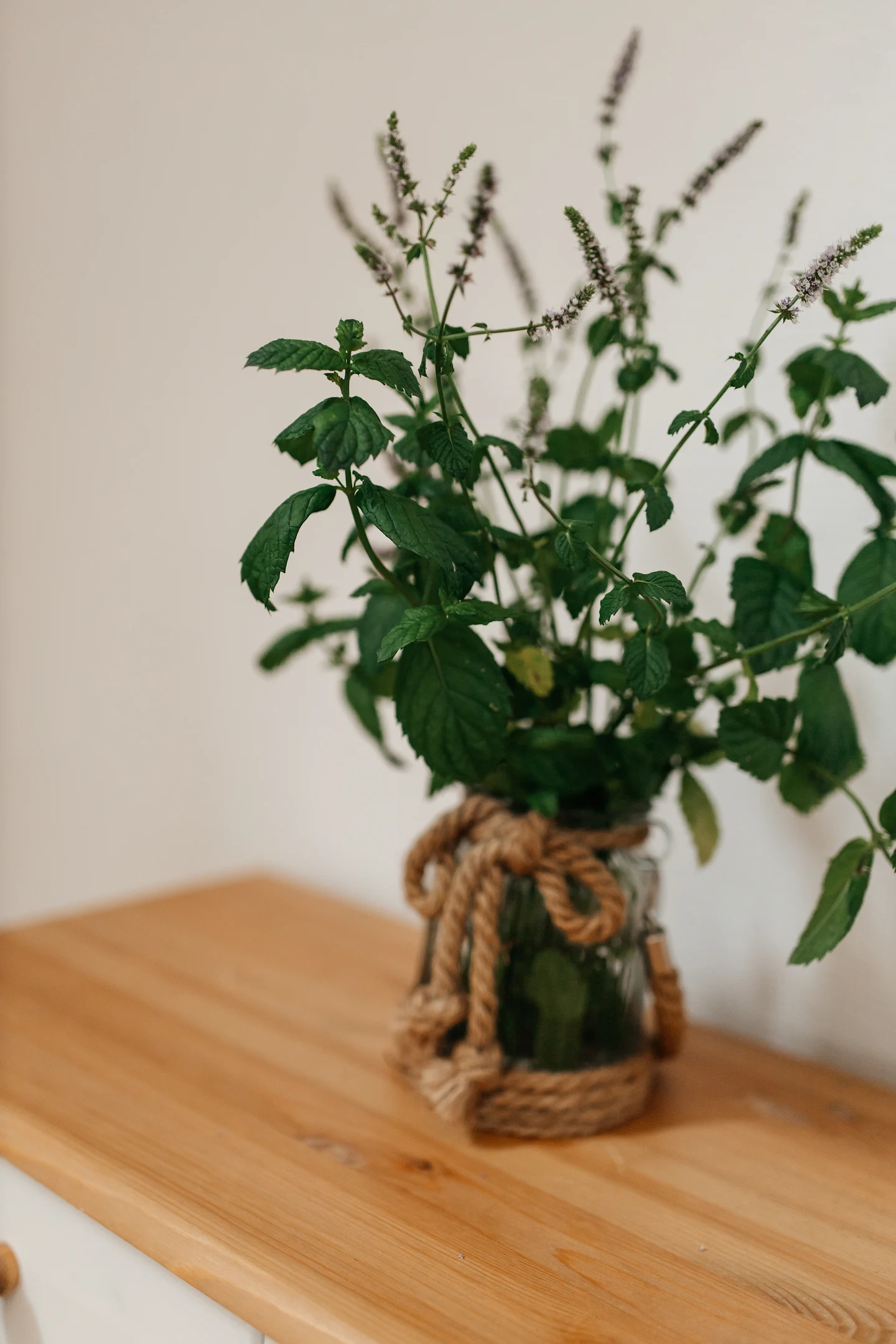 Фото Точка 8