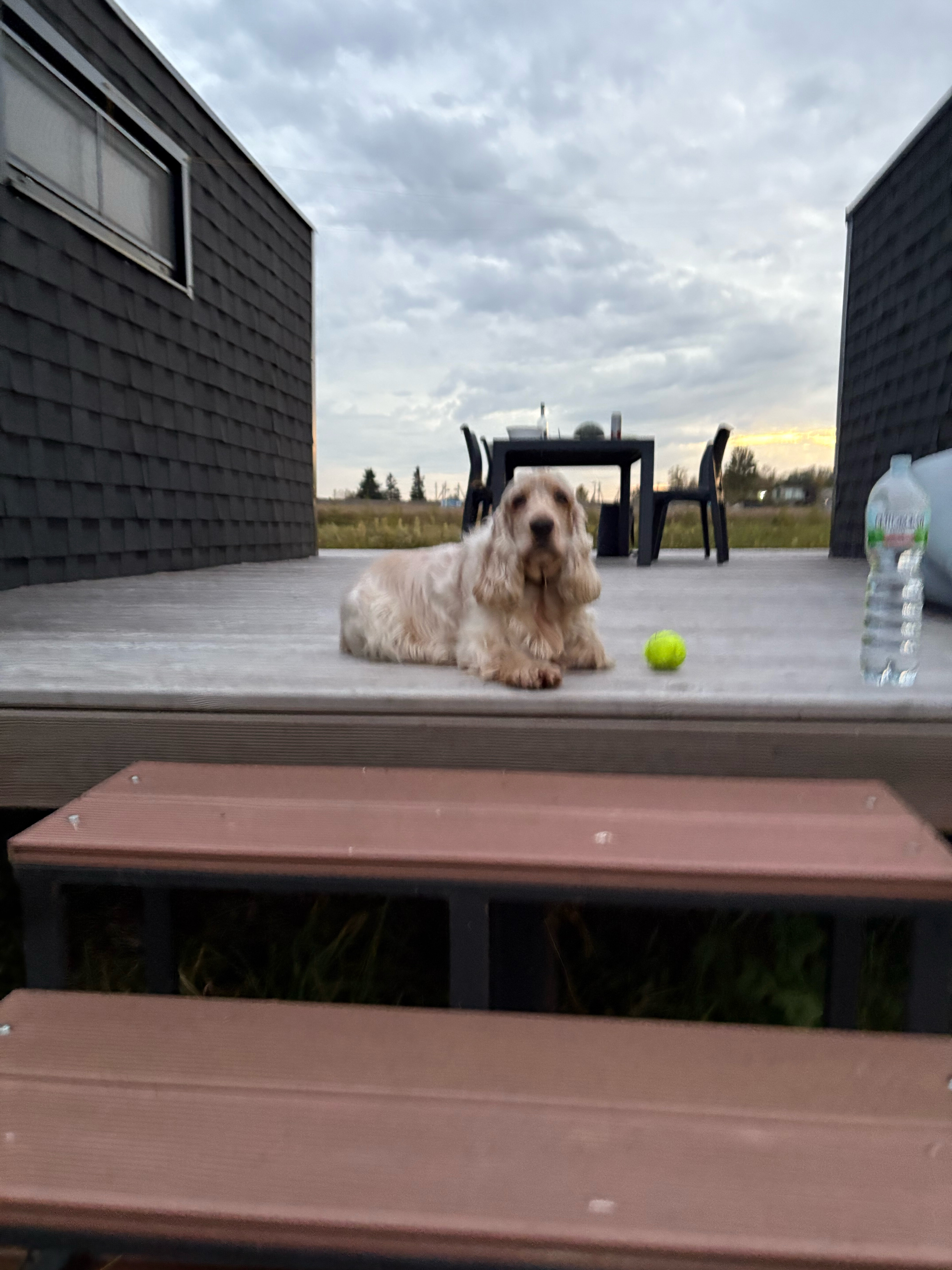 Фото Пятница Эко-Курорт