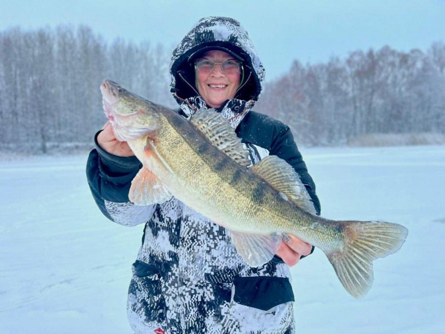 Фото Щукино