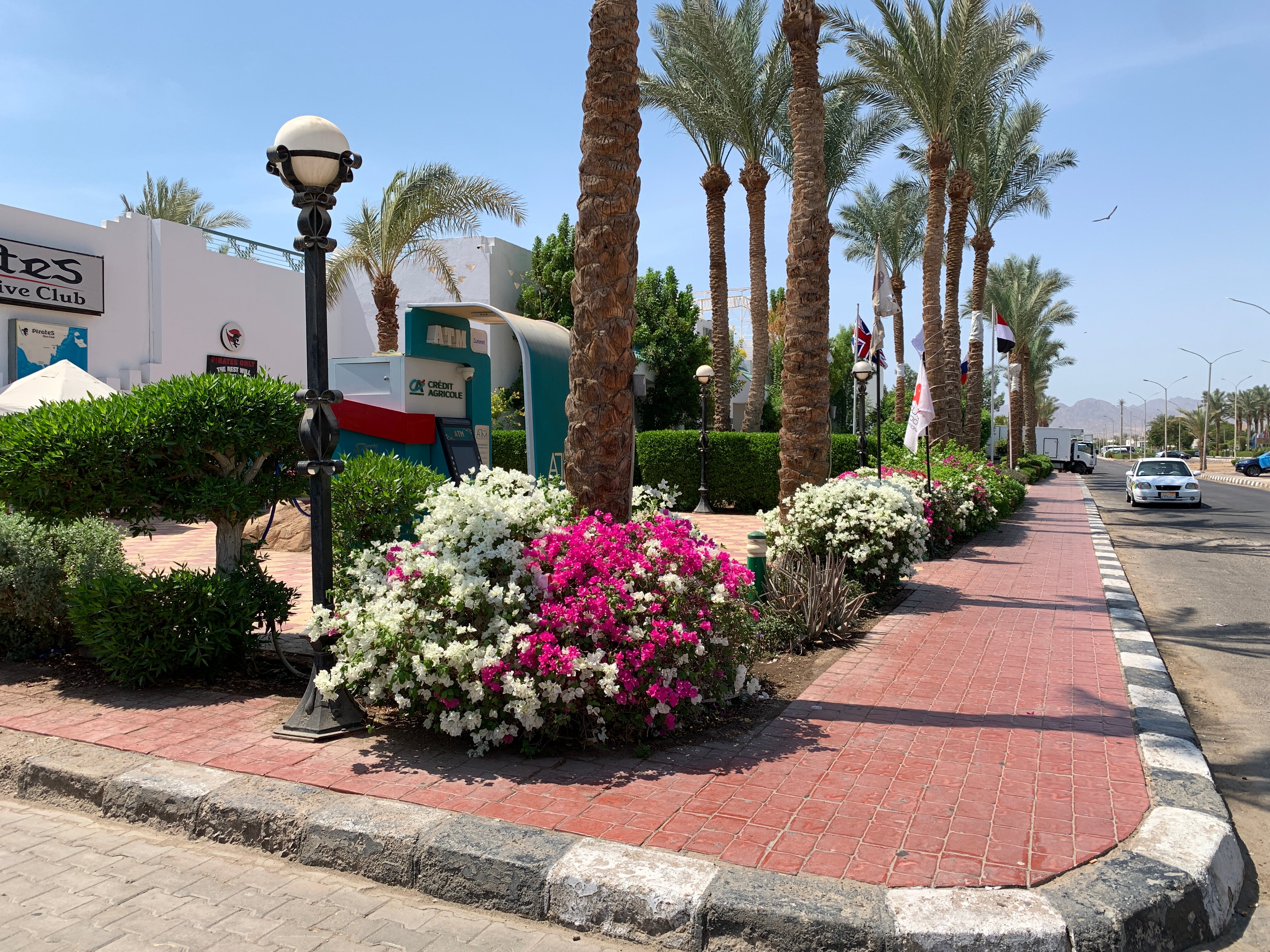 Фото Old Vic Sharm Resort